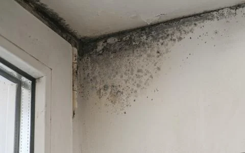 Mold spreading from window frame to wall. Black spots indicate long-term mo.. Stock Photos
