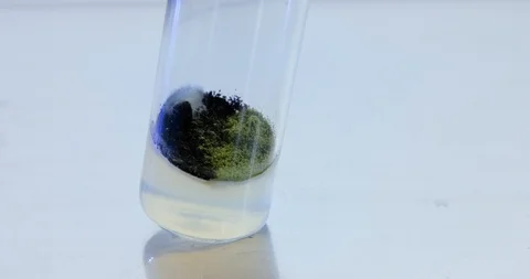 Mold in test tude table Stock Footage 112818254