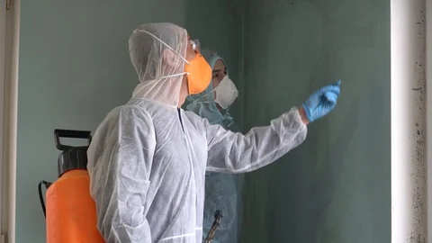 Mold Testing and Mold remediation is handled by specialists Stock Footage 122238807
