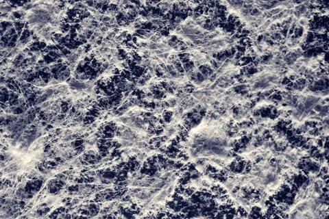 Mold under a microscope Foto stock