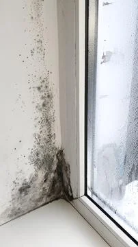 Mold visible on window frame and adjacent wall corner. Stock Photos