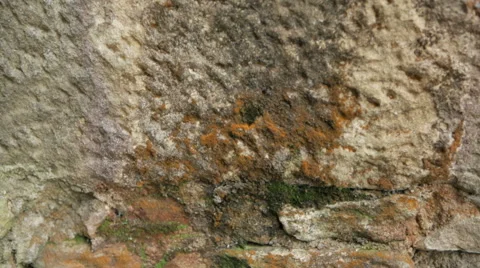 Mold on a wall  Stock Footage 62468780