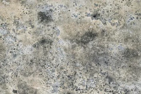 Mold on a wall Stock Photos
