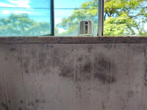 Mold on the wallpaper under the window Foto stock
