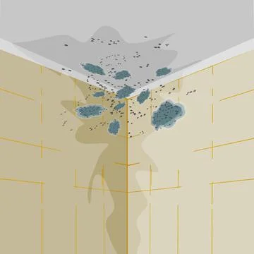 Mold on walls and ceiling. Mold on wall in bathroom or living room. Stock Illustration