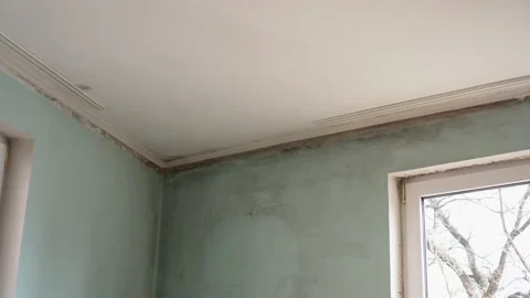 Mold on the walls, ceiling and windows. House with high humidity Video stock 146500849