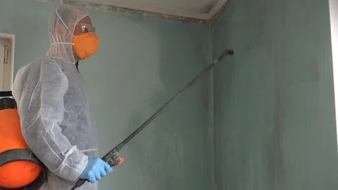 Mold on walls surfaces at the house Video stock 111453440