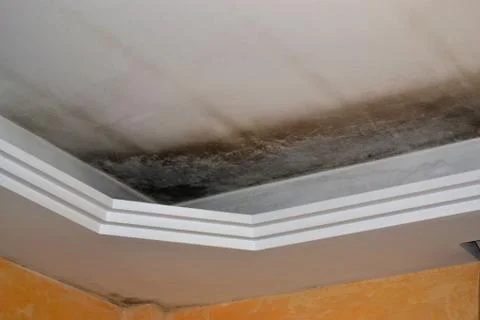 Mold from water damage in the ceiling Stock Photos