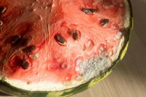 Mold on the watermelon close up Stock Photos