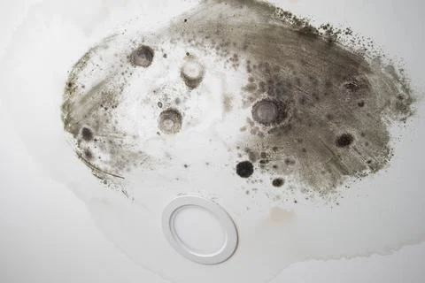 Mold on the white stretch ceiling from the flood Stock Photos