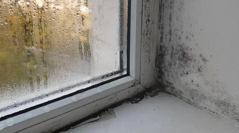 Mold on window. Condensation forming on surface of window, Stock Photos