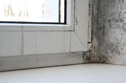 Mold in window corner and surrounding wall, indicating long-term moisture e.. Stock Photos