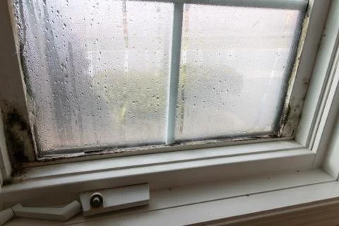 Mold in window frame Stock Photos