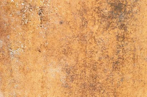 Mold on wooden surface Stock Photos