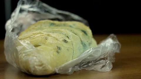 Molded bread on the kitchen table Stock Footage 104625037