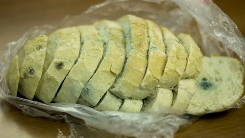 Molded bread on the kitchen table Video stock 104625087