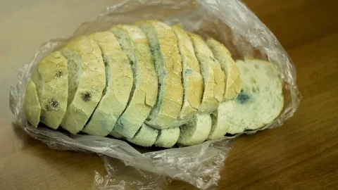 Molded bread on the kitchen table Video stock 104625675