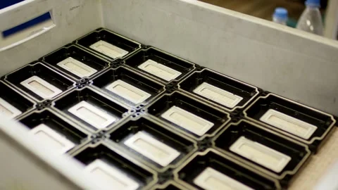 Molded Plastic Components Sorted in Black Trays, Parts Production, Close Up Shot Vídeo Stock 341435245