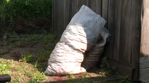 Molded Strawberry in Plastic Bag. Video stock 328457780