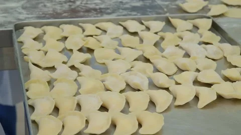 Molding of dumplings in the production workshop Stock Footage 166946783