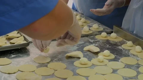 Molding of dumplings in the production workshop Stock Footage 166946794