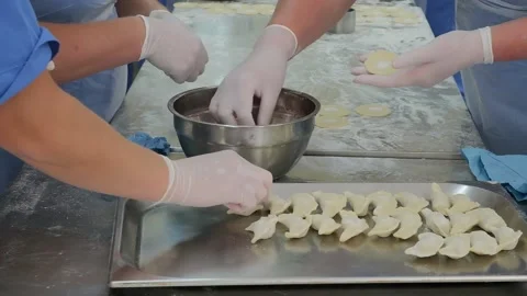 Molding of dumplings in the production workshop Stock Footage 166946985