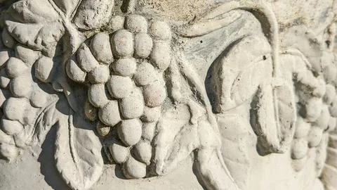 Molding on the wall in the shape of a vine. Stock Photos