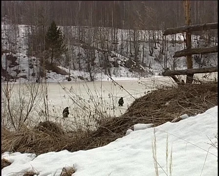 Moldova Видео 1340519