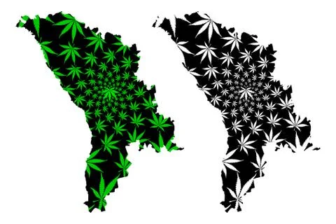 Moldova - map is designed cannabis leaf Stock Illustration