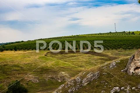 Moldova, summer 2020. Orchard among the rocks Stock Photos