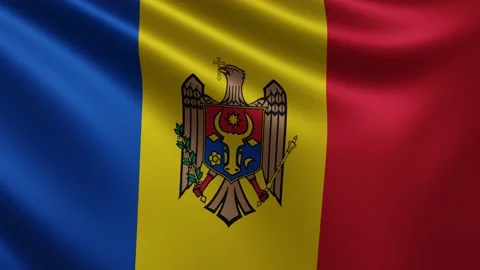 The Moldovan flag flutters in the wind close-up, the state flag of Moldova Stock Footage 219481521