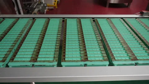 Molds for chocolate on a conveyor line  Stock Footage 146162339