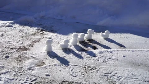 Molds for molded snow figures of ducks and dragons, winter Stock Footage 325668565