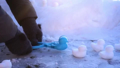 Molds for molded snow figures of ducks and dragons, winter Stock Footage 325668590