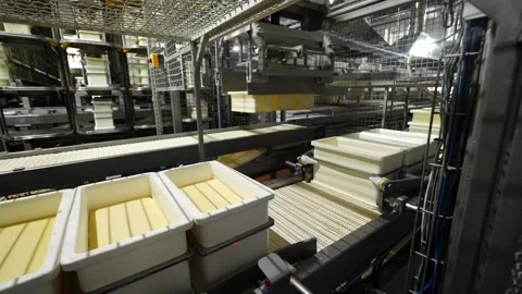 Molds for pressing cheese, rectangular containers for forming cheese heads Stock Footage 241008038