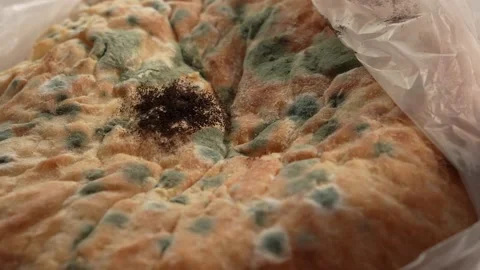 Moldy bread close-up being thrown into trash Stock Footage 312278511