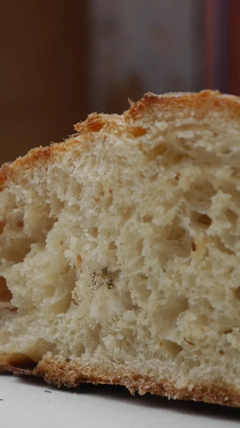 Moldy Bread Close-Up Showing Mold Growth Stock Footage 325478871