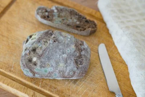 Moldy bread on a cutting board. Close-up view. Top view. Selective focus. Stock Photos