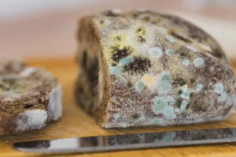 Moldy bread on a cutting board. Close-up view. Selective focus. Stock Photos