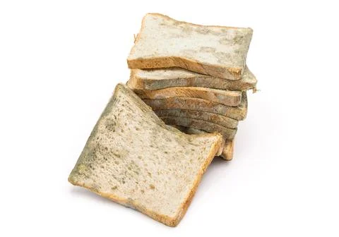Moldy bread expired bread isolated on white Stock Photos