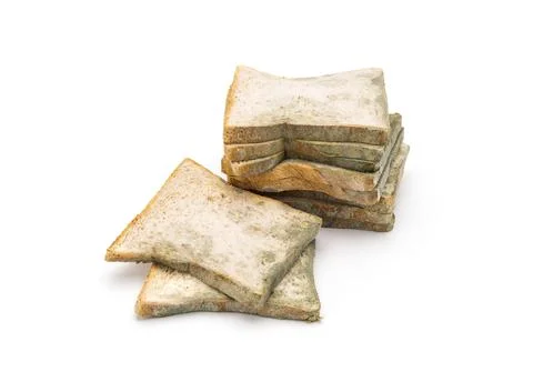 Moldy bread expired bread isolated on white Stock Photos