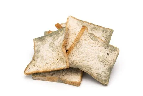 Moldy bread expired bread isolated on white Stock Photos