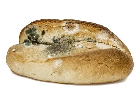 Moldy bread, isolated on white background Stock Photos