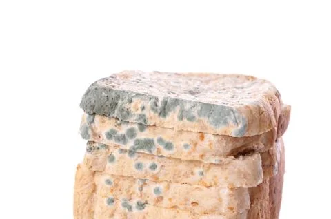 Moldy bread Stock Photos