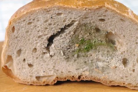 Moldy bread Stock Photos