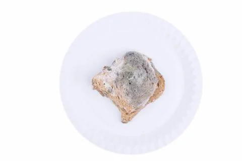 Moldy bread Stock Photos
