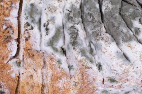 Moldy bread Stock Photos