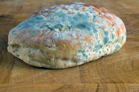 Moldy bread Stock Photos