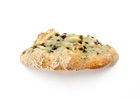 Moldy bread. Stock Photos