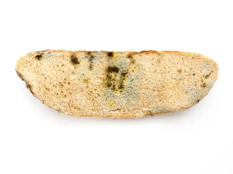 Moldy bread. 写真素材
